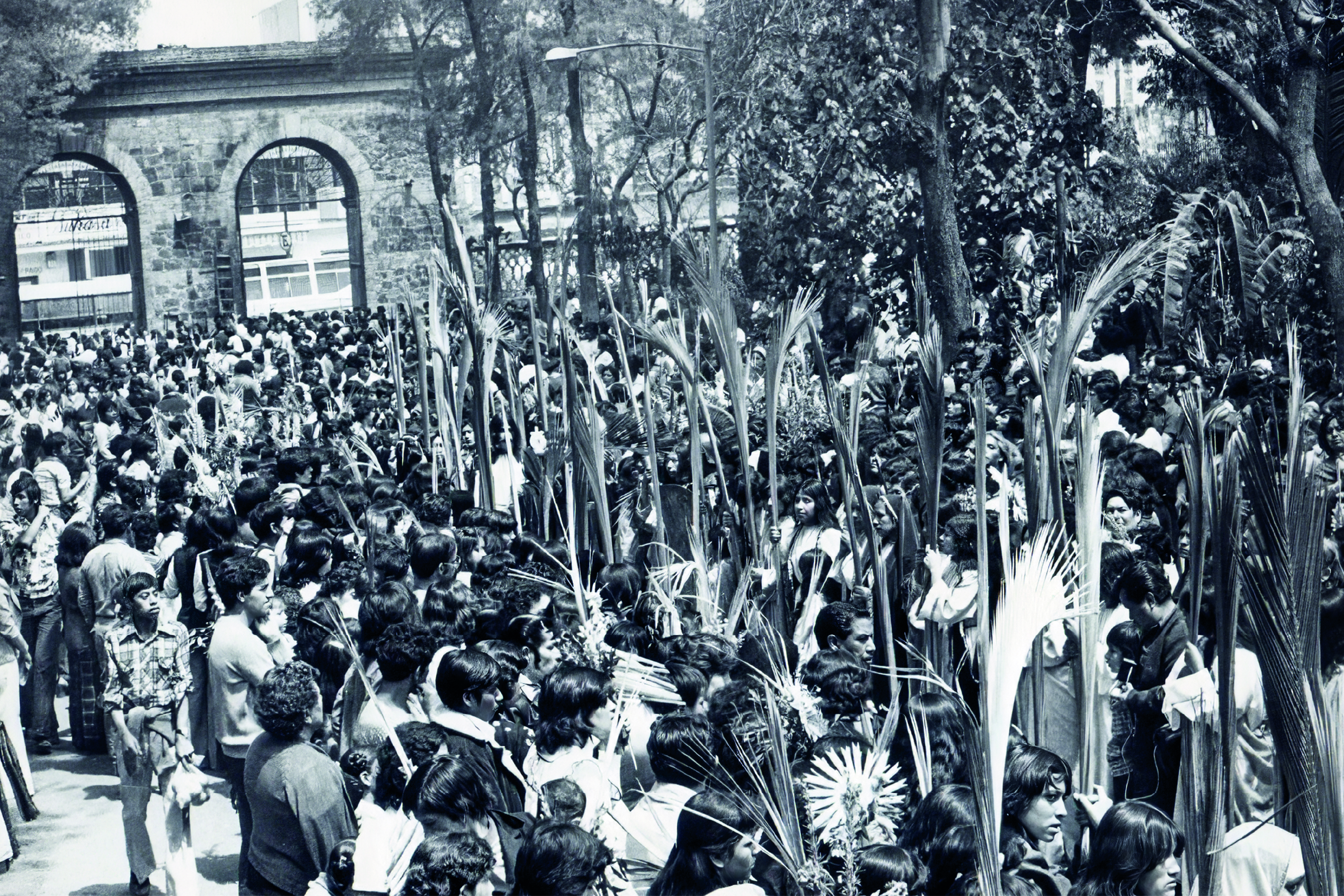 Galería 1 - Imagen 5