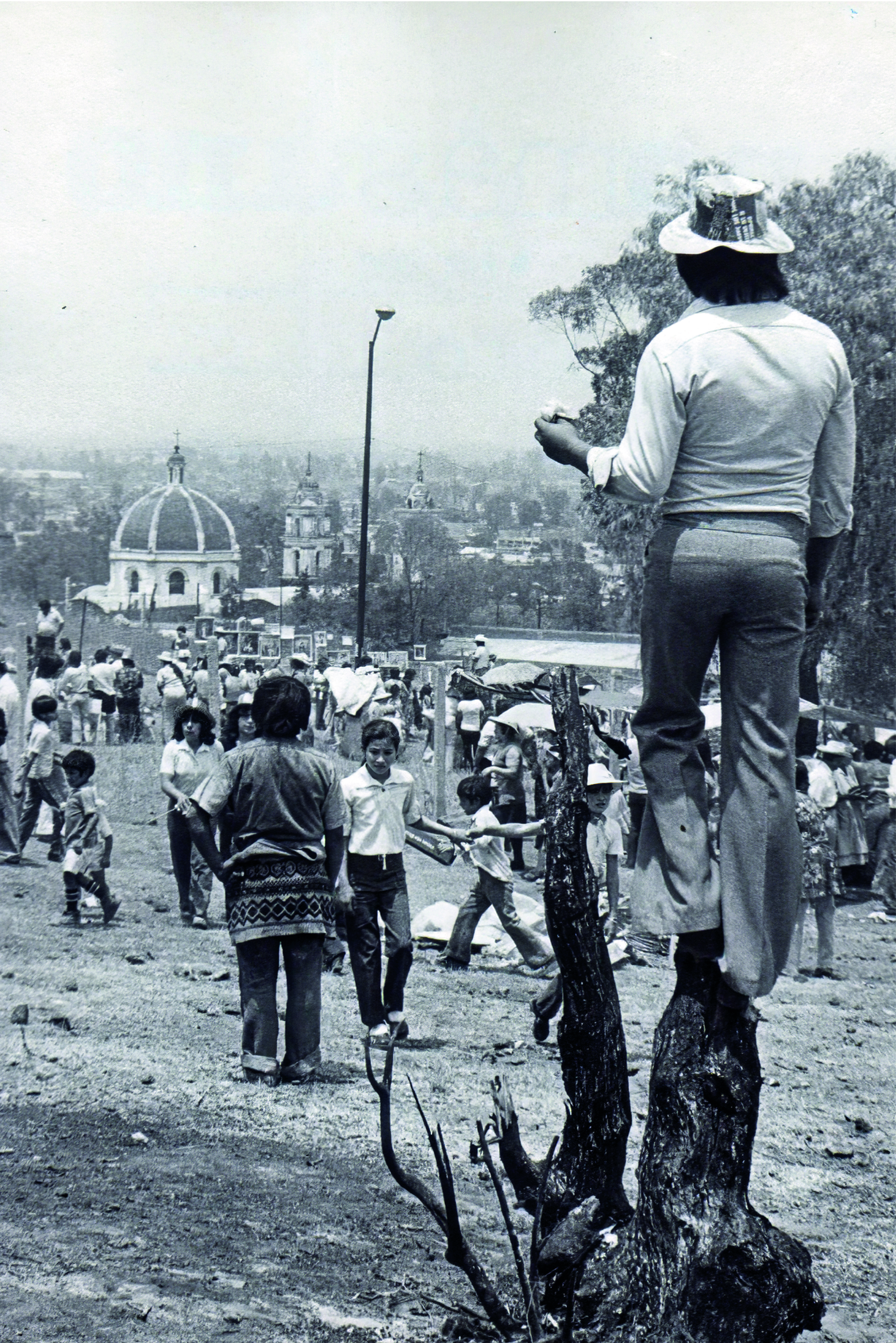 Galería 2 - Imagen 2