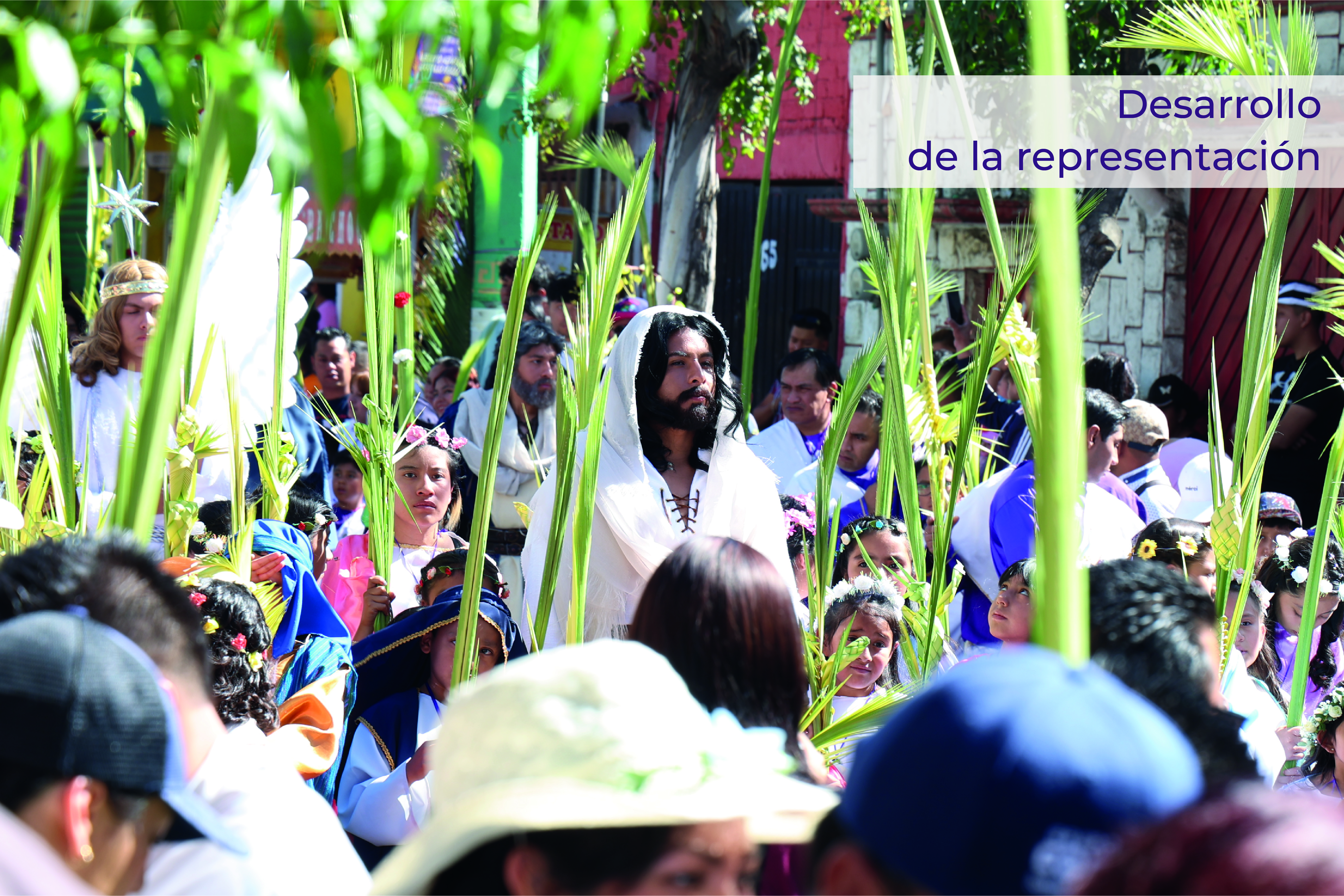 Galería 2 - Imagen 4