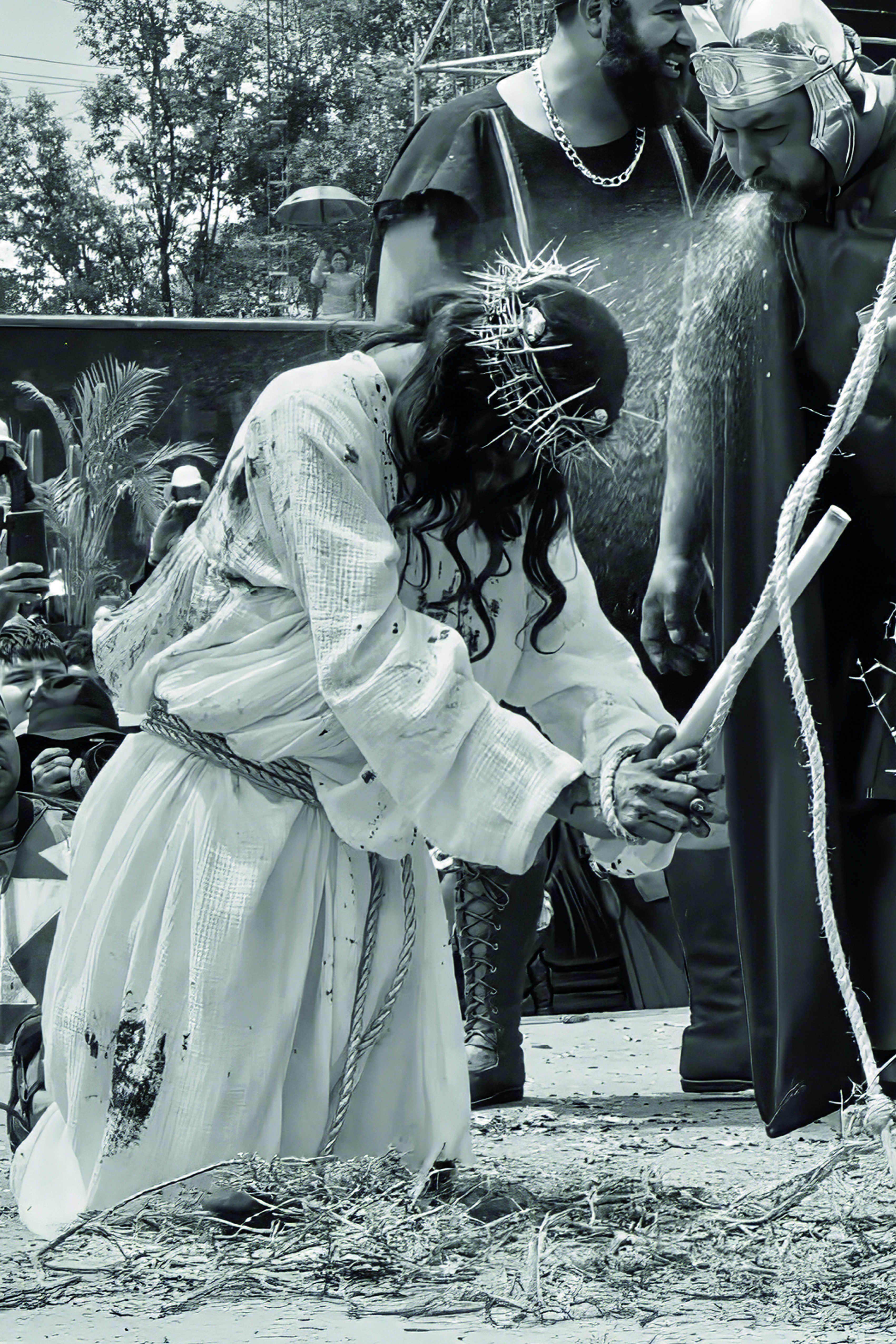 Galería 3 - Imagen 3