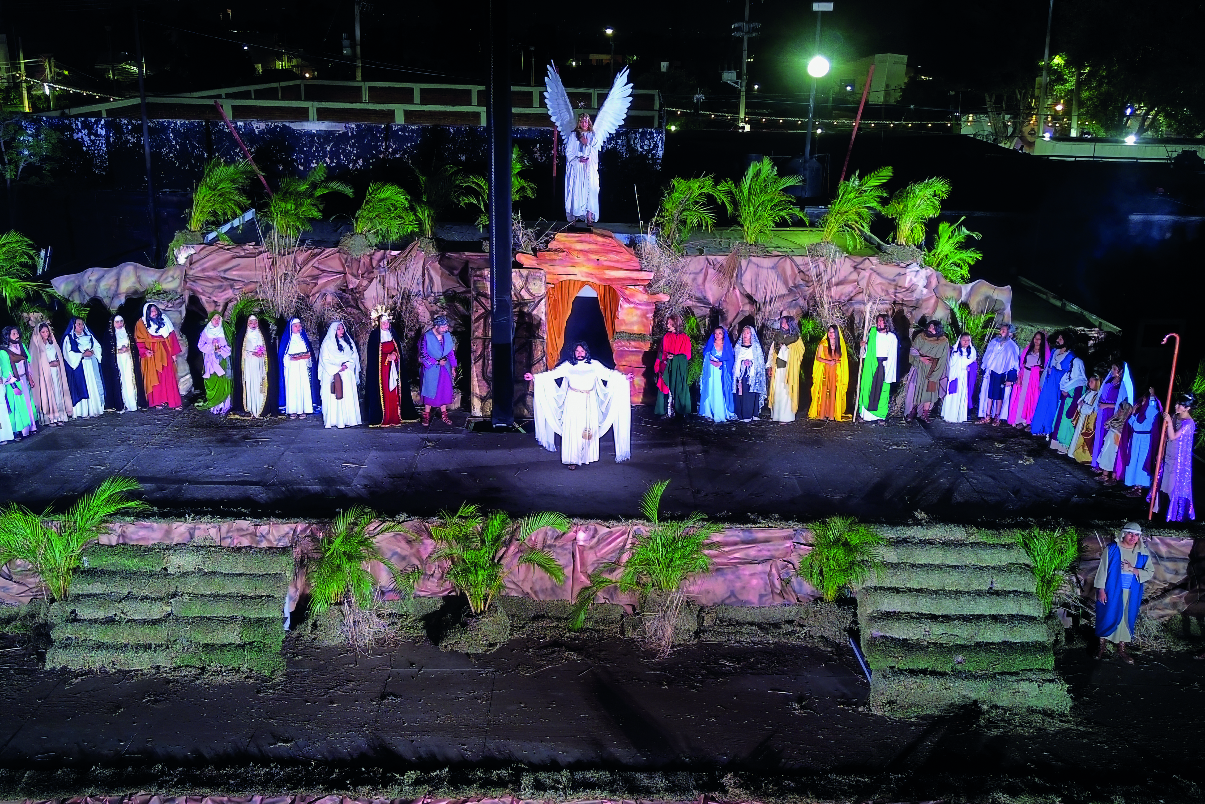 Galería 3 - Imagen 5