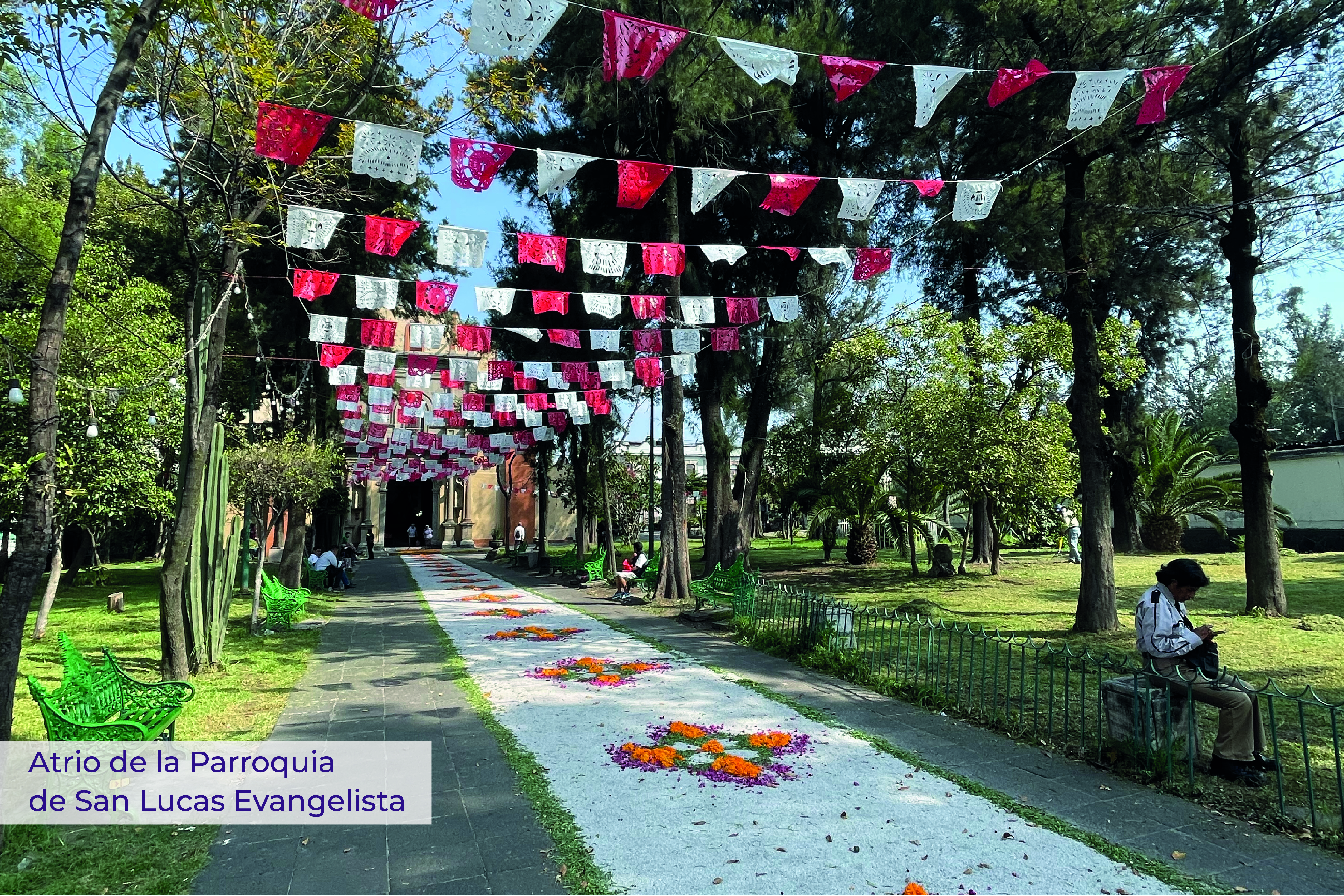 Galería 3 - Imagen 7