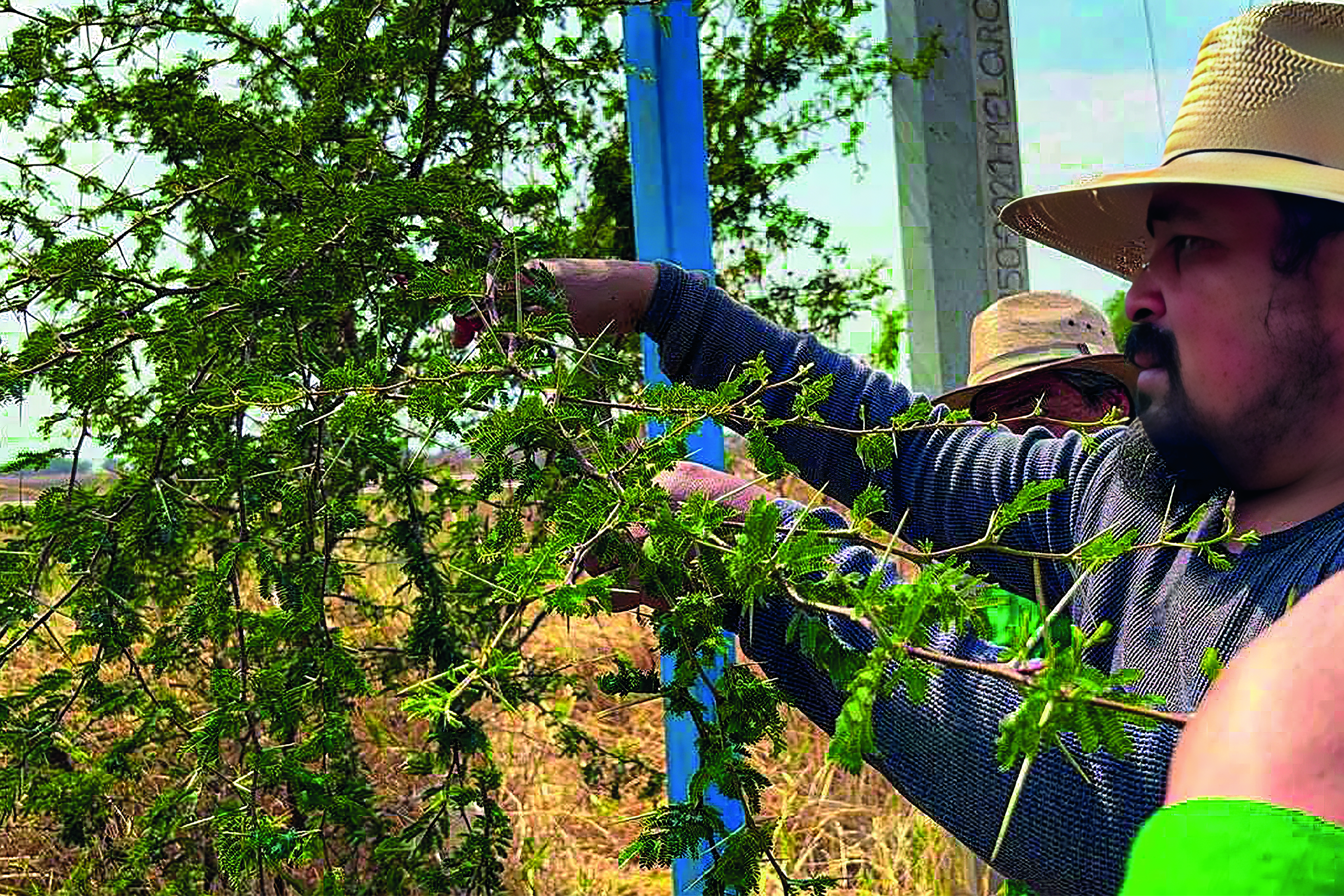 Galería 4 - Imagen 6