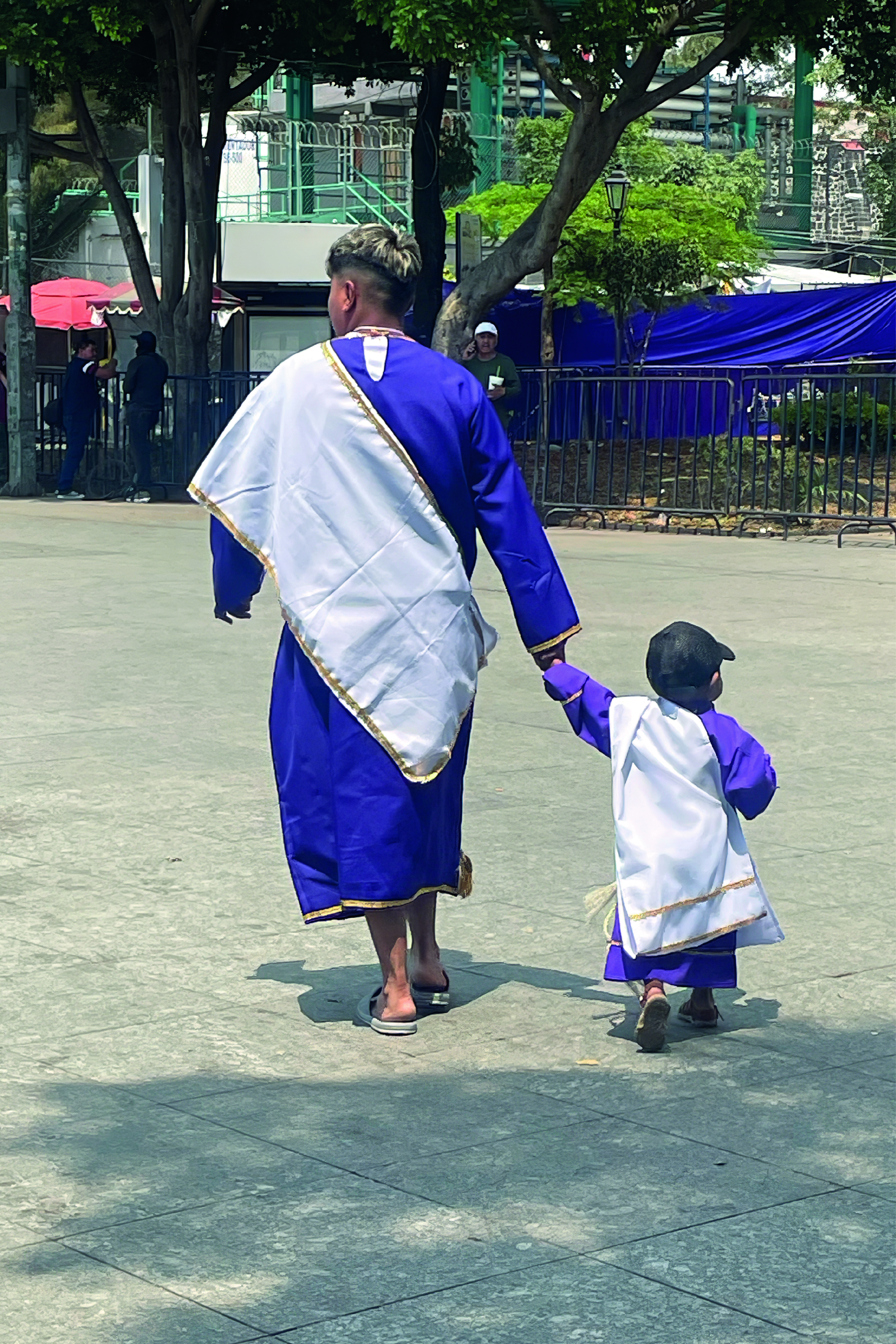 Galería 6 - Imagen 4